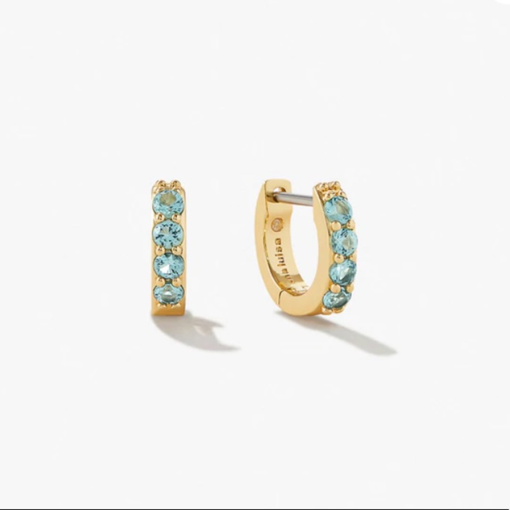 Ana Luisa Huggie Earrings